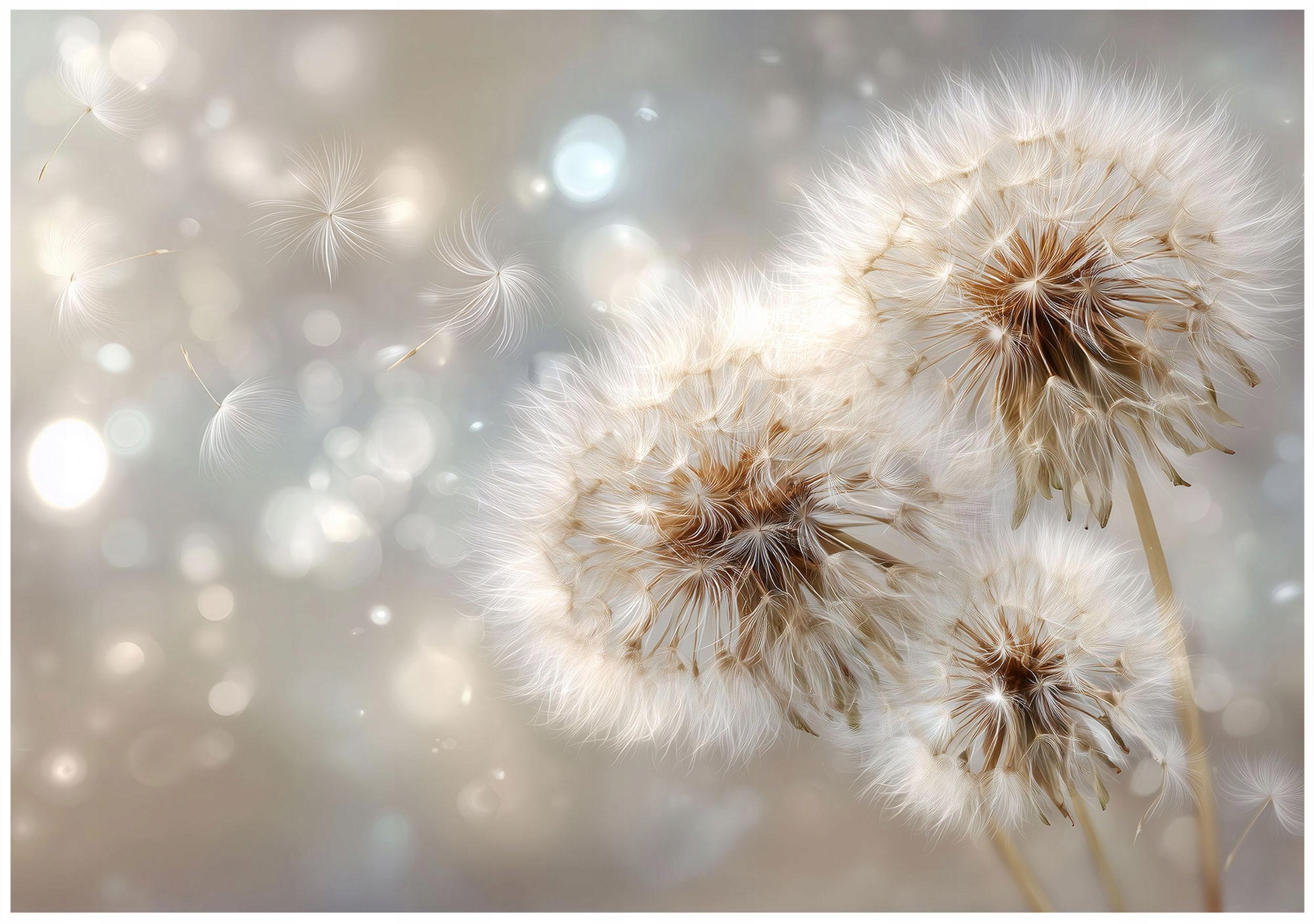 FOTOTAPETE Pusteblumen Blumen Beige 150x105 cm - Multicolor, Papier (150/105cm) - Wallarena
