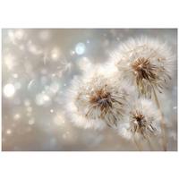 FOTOTAPETE Pusteblumen Blumen Beige 150x105 cm - Multicolor, Papier (150/105cm) - Wallarena