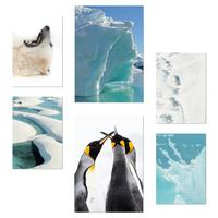 POSTER Set Mit 6 Eis In Der Antarktis Bär & Pinguine Im Türkisfarbenen Wasser A3 & A4 Rahmenlos - Klar, Papier (29/3cm) - Nacnic