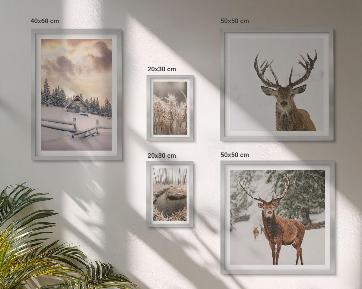 BILDER SET 5er Set - 50x50 cm & 20x30 cm & 40x60 cm Silberner Rahmen - Winterlandschaft mit Hirschen - Silberfarben, Kunststoff (40/60cm) - TULUP