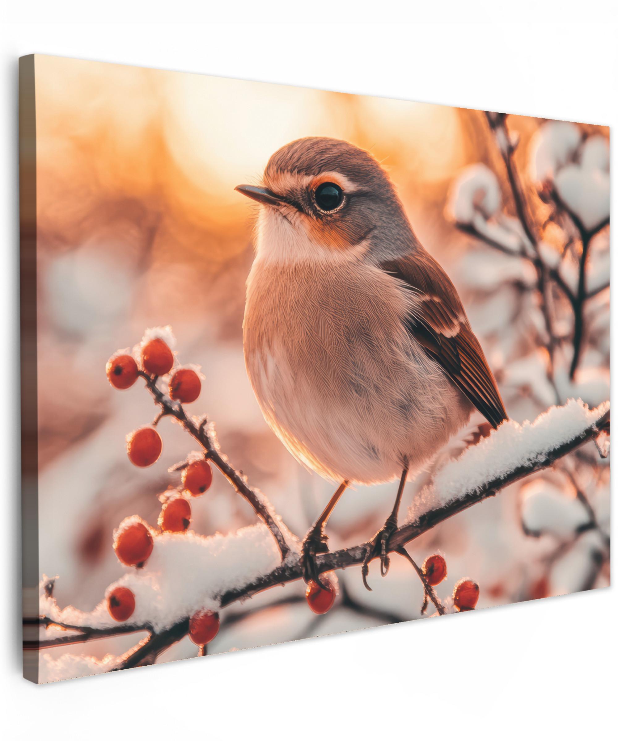 LEINWANDBILD Vogel - Zweig - Winter - Tiere - Schnee Wandbild 40x30 cm - Bernsteinfarben, Textil (40/30cm) - MuchoWow