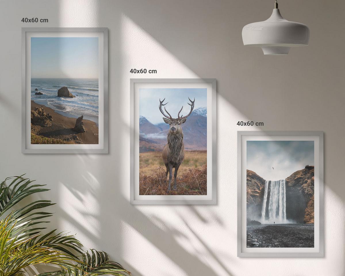 BILDER SET 3er Set - 40x60 cm Silberner Rahmen - Berglandschaften mit einem Wasserfall - Silberfarben, Kunststoff (40/60cm) - TULUP