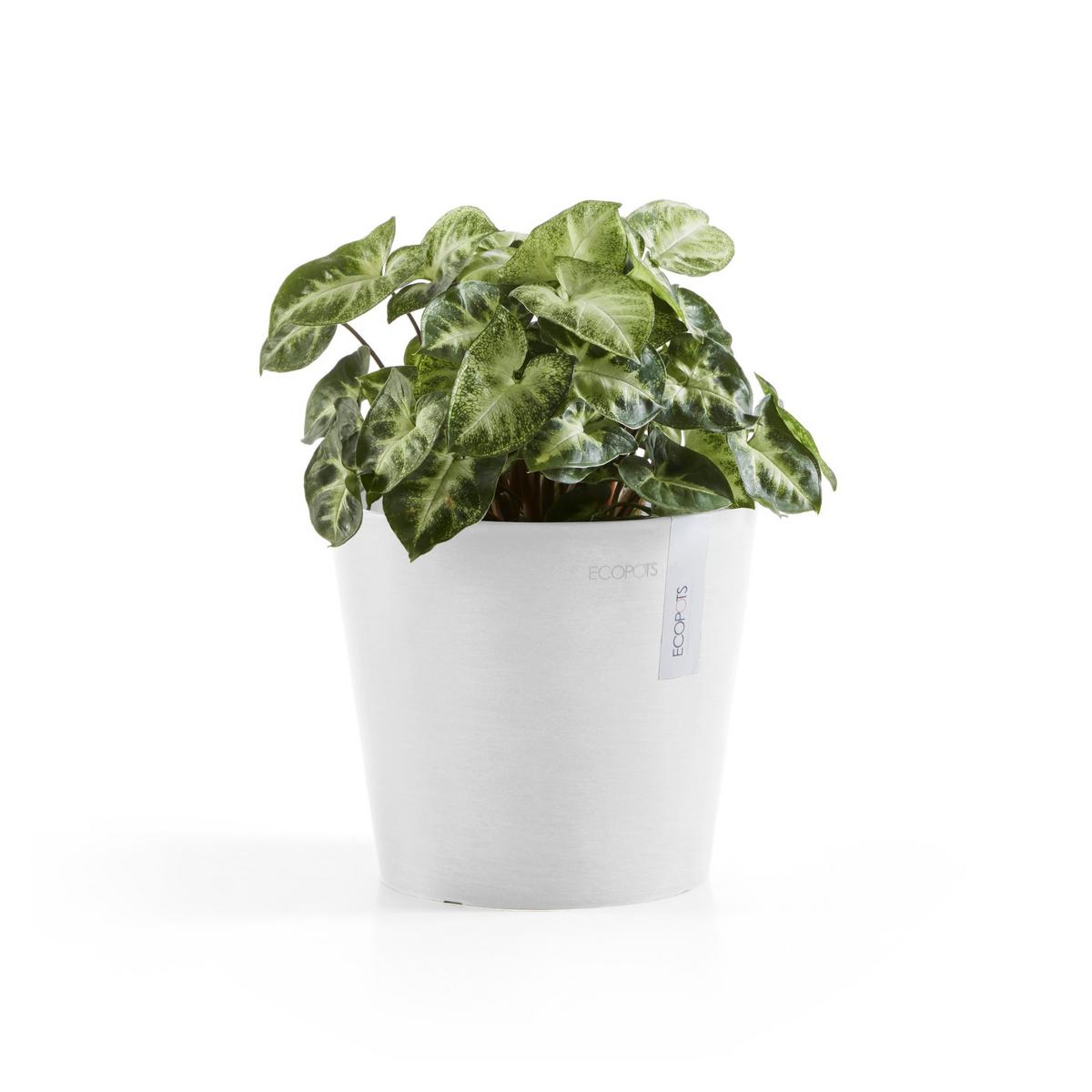 BLUMENTOPF Amsterdam 17/14,7 cm Weiß - Weiß, Kunststoff (17/14.7cm) - Ecopots