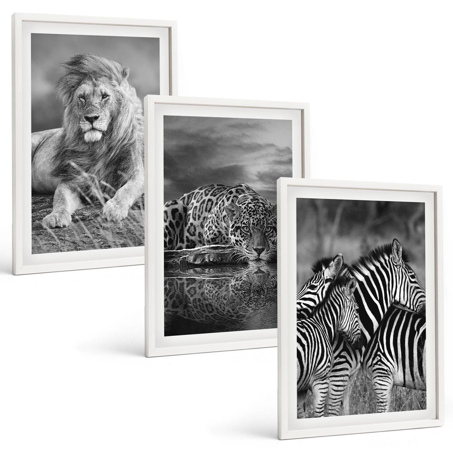 BILDER SET 3er Set - 40x60 cm Weißer Rahmen - Wildtiere der Savanne - Weiß, Kunststoff (40/60cm) - TULUP