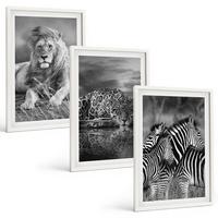 BILDER SET 3er Set - 40x60 cm Weißer Rahmen - Wildtiere der Savanne - Weiß, Kunststoff (40/60cm) - TULUP