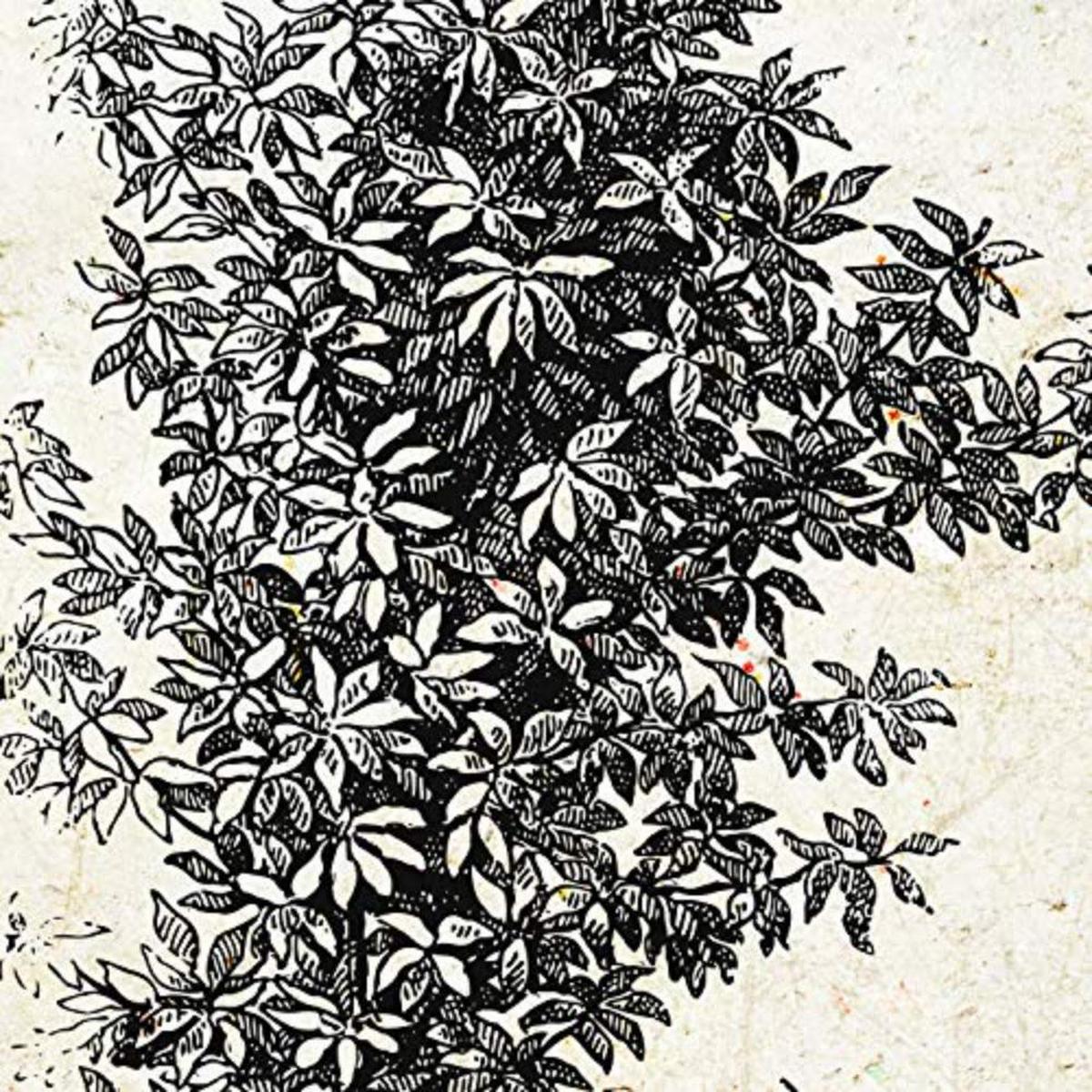 POSTER Set mit 4 Bädern Bäume miese Zweige Weinlese Altpapierhintergrund 30x30 cm Schwarzer Rahmen - Schwarz, Papier (30/3cm) - Nacnic