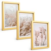 BILDER SET 3er Set - 20x30 cm Goldrahmen - Grasflächen in Braun- und Beigetönen - Goldfarben, Kunststoff (20/30cm) - TULUP