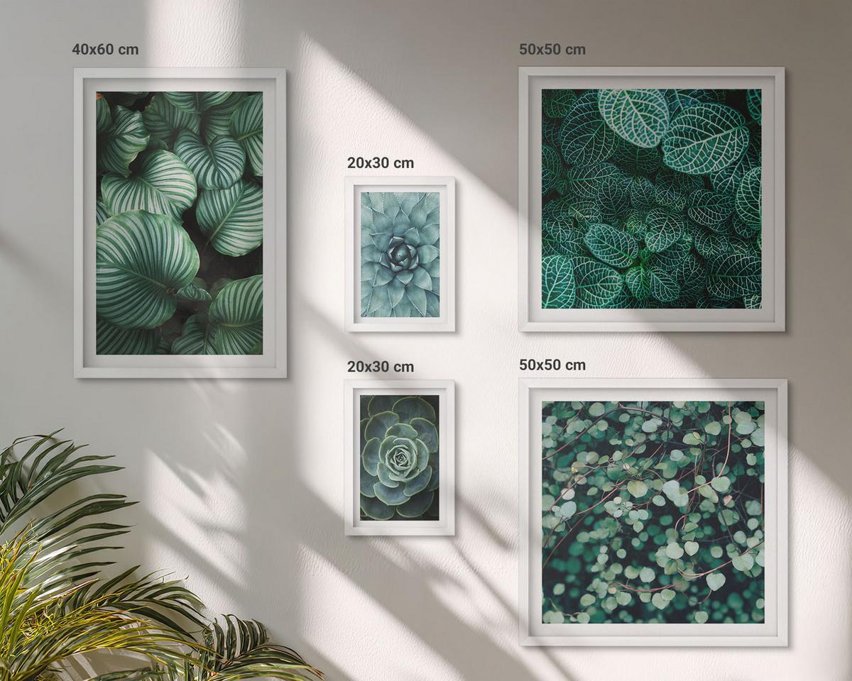 BILDER SET 5er Set - 50x50 cm & 20x30 cm & 40x60 cm Weißer Rahmen - Meerstrand Zitronen Berge - Weiß, Kunststoff (40/60cm) - TULUP