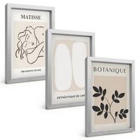 BILDER SET 3er Set - 20x30 cm Silberner Rahmen - Matisses stilvolle Pflanzenbilder - Silberfarben, Kunststoff (20/30cm) - TULUP