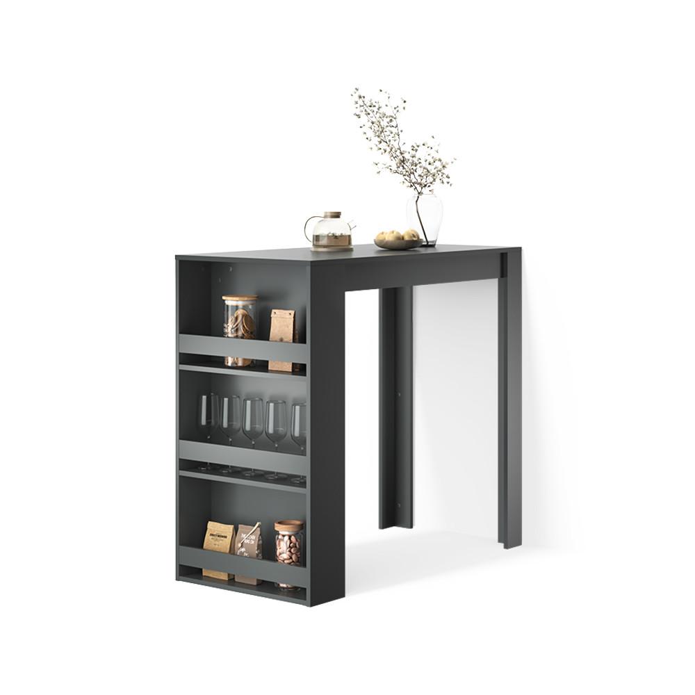BARTISCH Regusa Anthrazit 57 x 117 cm - Anthrazit, Holzwerkstoff (117/57/106cm) - Livinity®