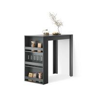 BARTISCH Regusa Anthrazit 57 x 117 cm - Anthrazit, Holzwerkstoff (117/57/106cm) - Livinity®