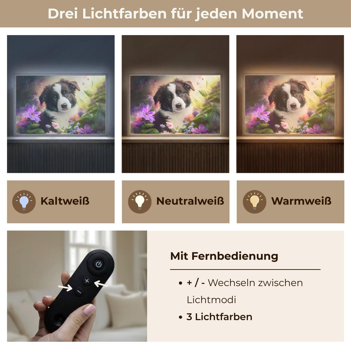 WANDLEUCHTE MIT AKKU Welpe - Sonne - Blumen - Natur - Border Collie - Hund 60x40 cm - Violett, Holzwerkstoff (60/40/8cm) - OnlyWow
