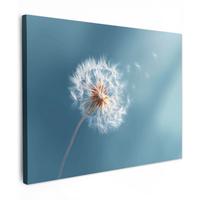 LEINWANDBILD Löwenzahn - Wind - Blau Wandbilder 80x60 cm - Blaugrau, Textil (80/60cm) - MuchoWow