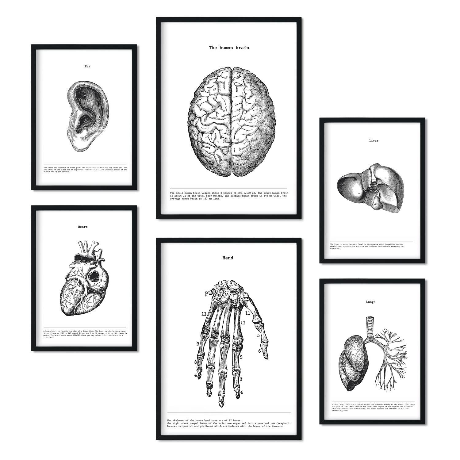 POSTER Set Mit 6 Belies Sammlung A3 & A4 Schwarzer Rahmen - Schwarz, Papier (29/3cm) - Nacnic