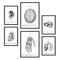 POSTER Set Mit 6 Belies Sammlung A3 & A4 Schwarzer Rahmen - Schwarz, Papier (29/3cm) - Nacnic