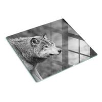 GLASPLATTE 60x52 cm Grauer Wolf - Grau, Glas (60/0.4/52cm) - TULUP