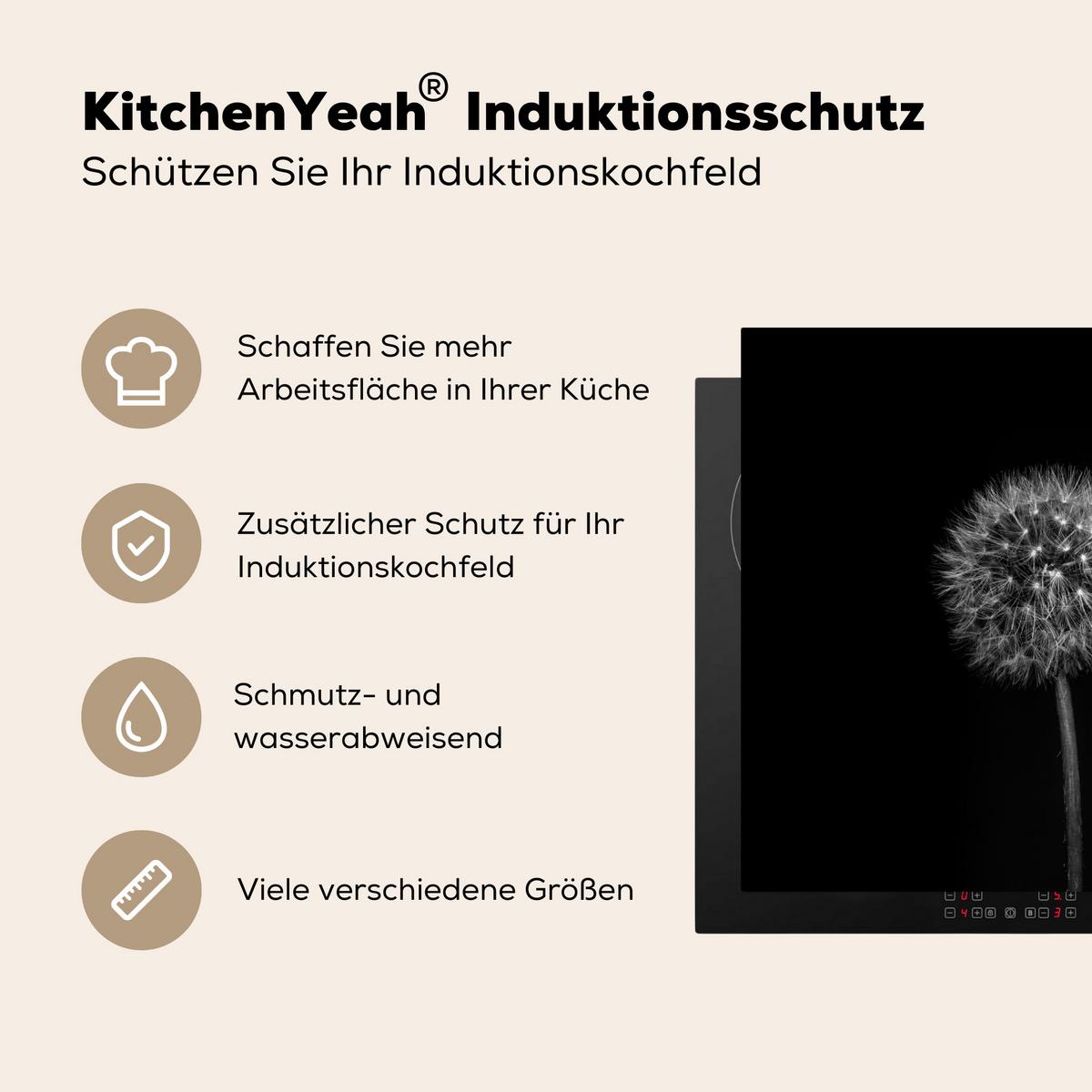 HERDABDECKPLATTE Löwenzahn - Schwarz - Floral - Botanisch Herdabdeckung Induktionsfeld 60x52 cm - Grau, Kunststoff (60/52/0.2cm) - MuchoWow
