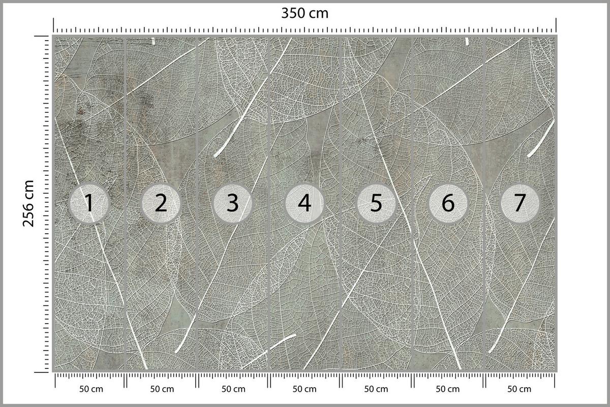 FOTOTAPETE für Schlafzimmer Weiße Blätter auf Beton 350x256 - Weiß/Grau, Papier (350/256cm) - Muralo