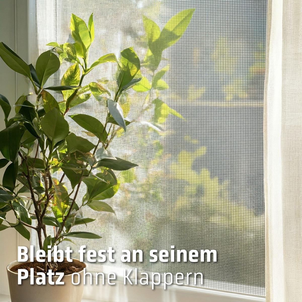 INSEKTENSCHUTZROLLO mit Kassette Anthrazit - Anthrazit, Kunststoff (80/150/3.7cm) - Cocoon Home Concepts
