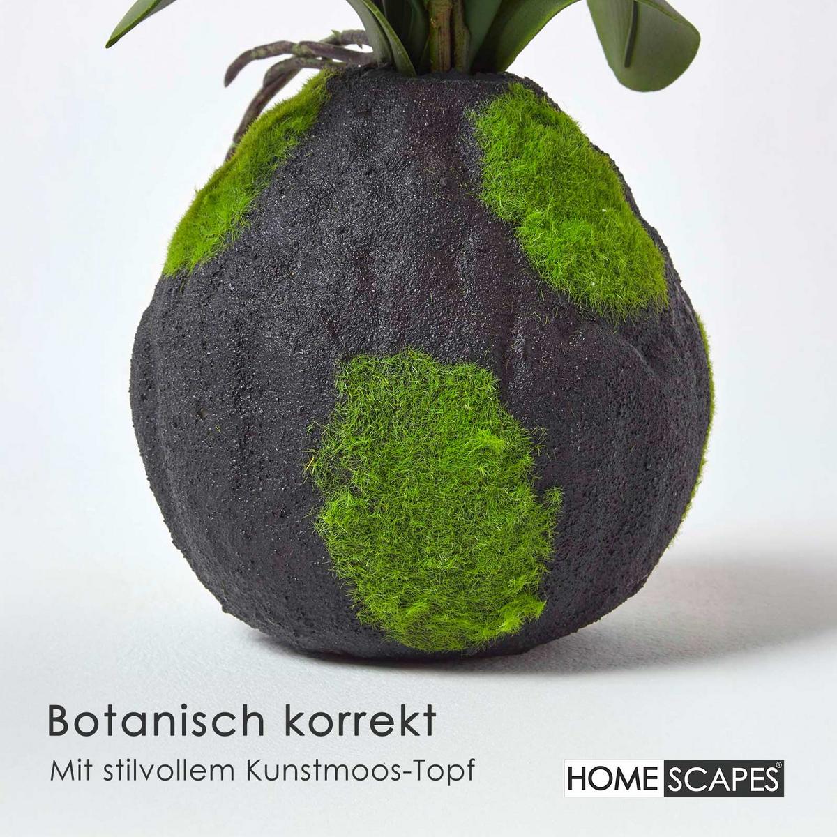 KUNSTBLUME Orchidee weiß mit Moos-Sockel, 60 cm - Weiß, Kunststoff (60cm) - Homescapes