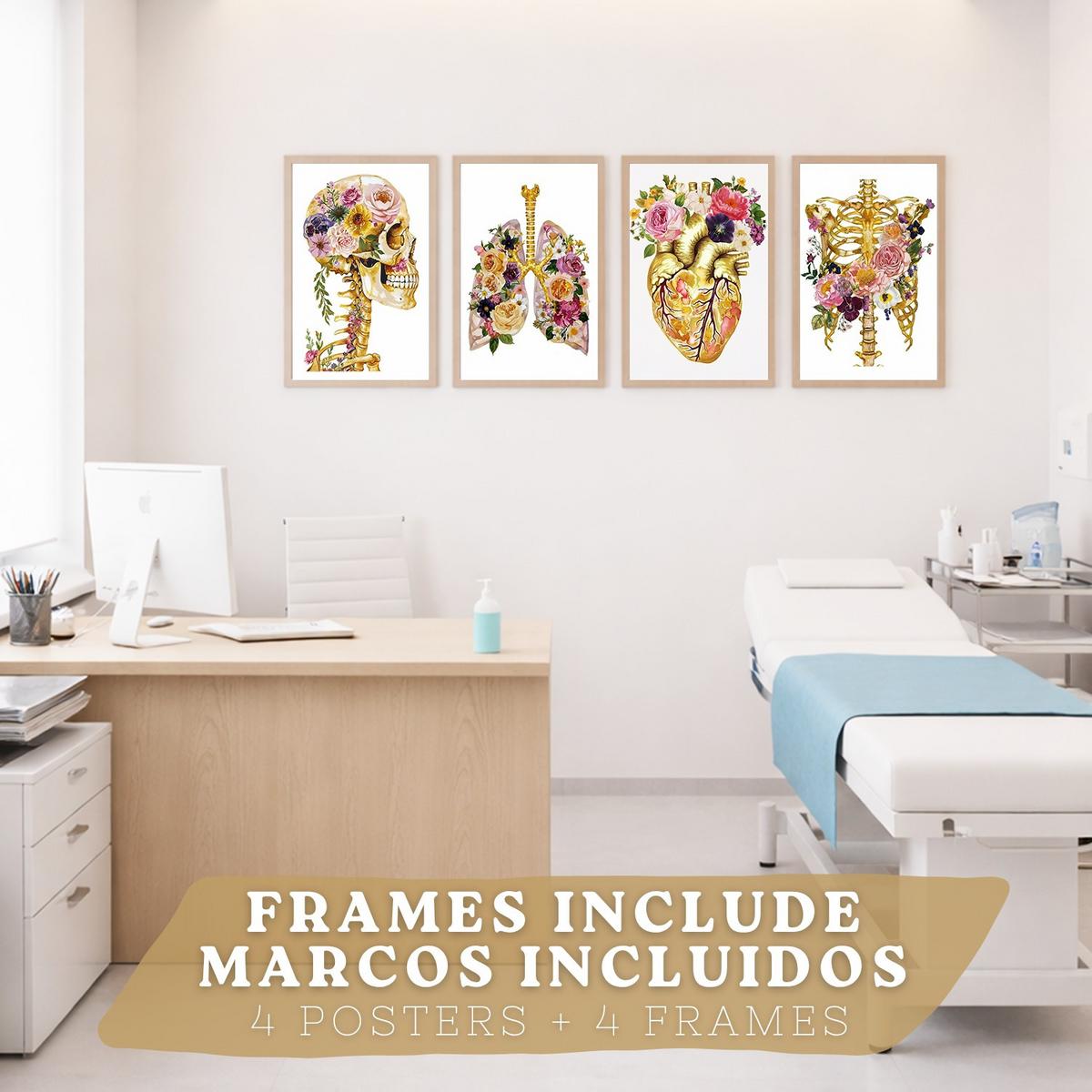 POSTER Set aus 4 Anatomie Mensch Drucke und Wandbilder mit Schädel Skelett Herz und Goldene Lungen Wanddekoration Größe Leichter Holzrahmen A4 - Beige, Papier (21/29.7/3cm) - Nacnic