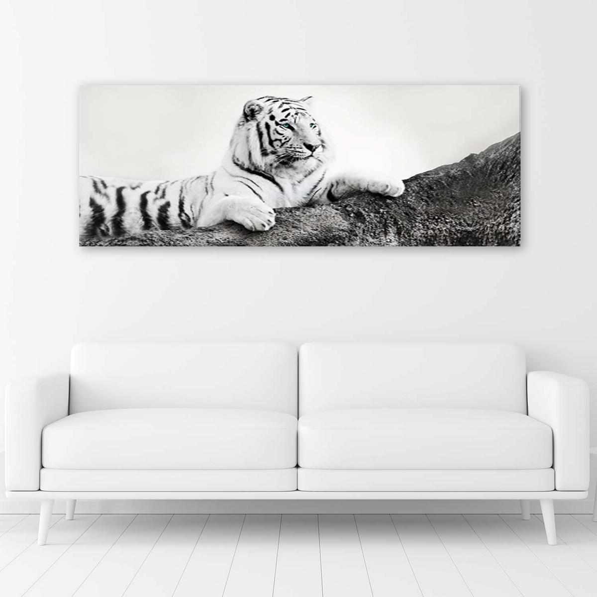 BILD AUF LEINWAND Tiger Wildtiere Natur 150x50cm - Grau, Textil (150/50cm) - Feeby