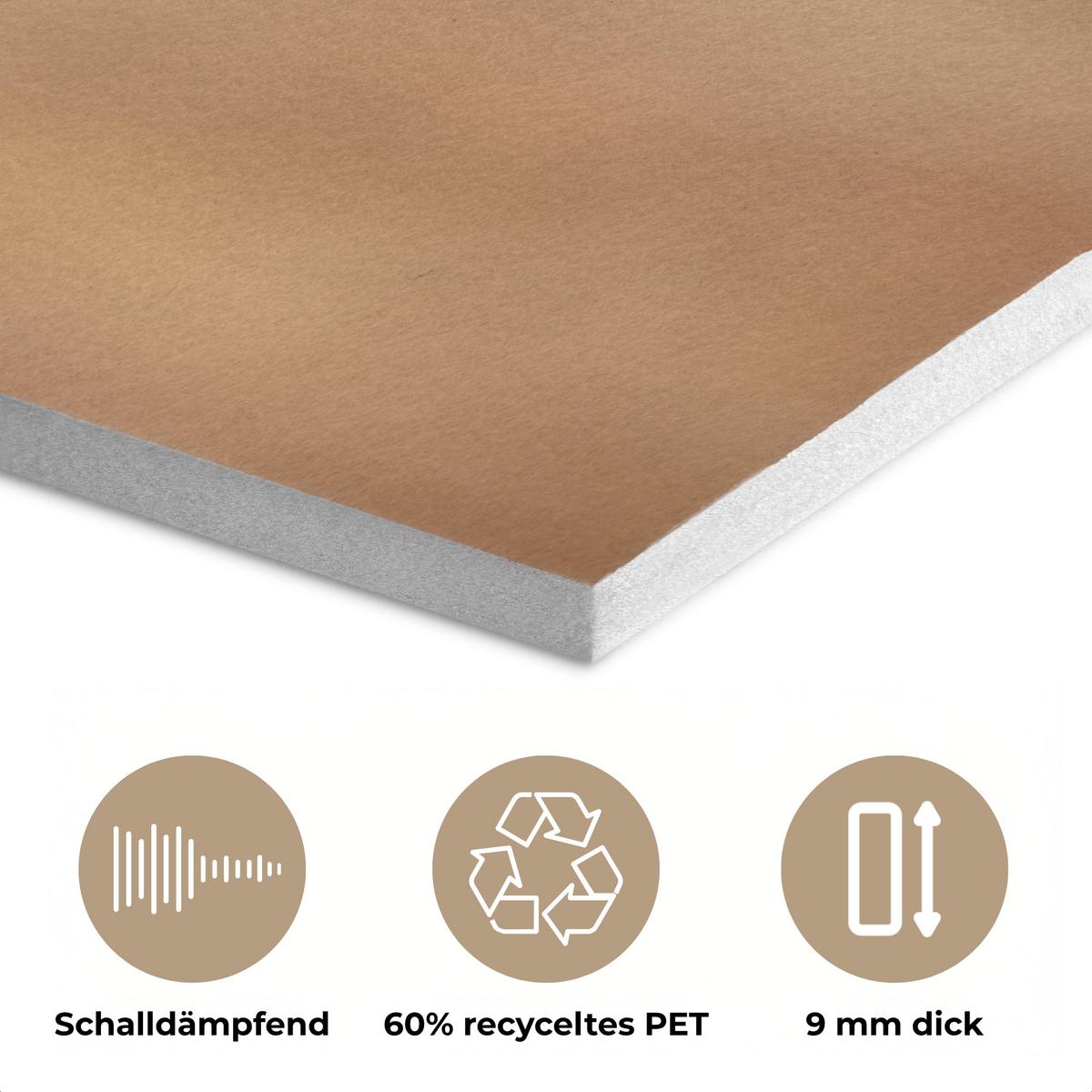 AKUSTIKBILD Löwenzahn - Beige - Natur - Blume Wanddeko 70x50 cm - Hellbraun, Kunststoff (70/50/0.9cm) - MuchoWow