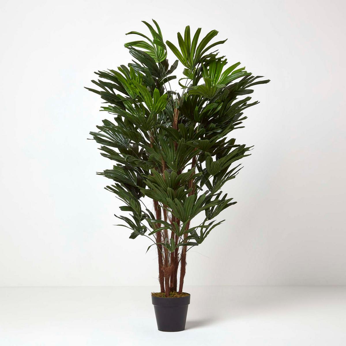 KUNSTPALME Rhapis, 150 cm - Grün, Kunststoff (150cm) - Homescapes