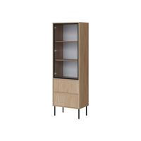 VITRINE Domi 60 2S - Eichefarben/Schwarz, Holzwerkstoff/Metall (60/185/40cm) - MIRJAN24