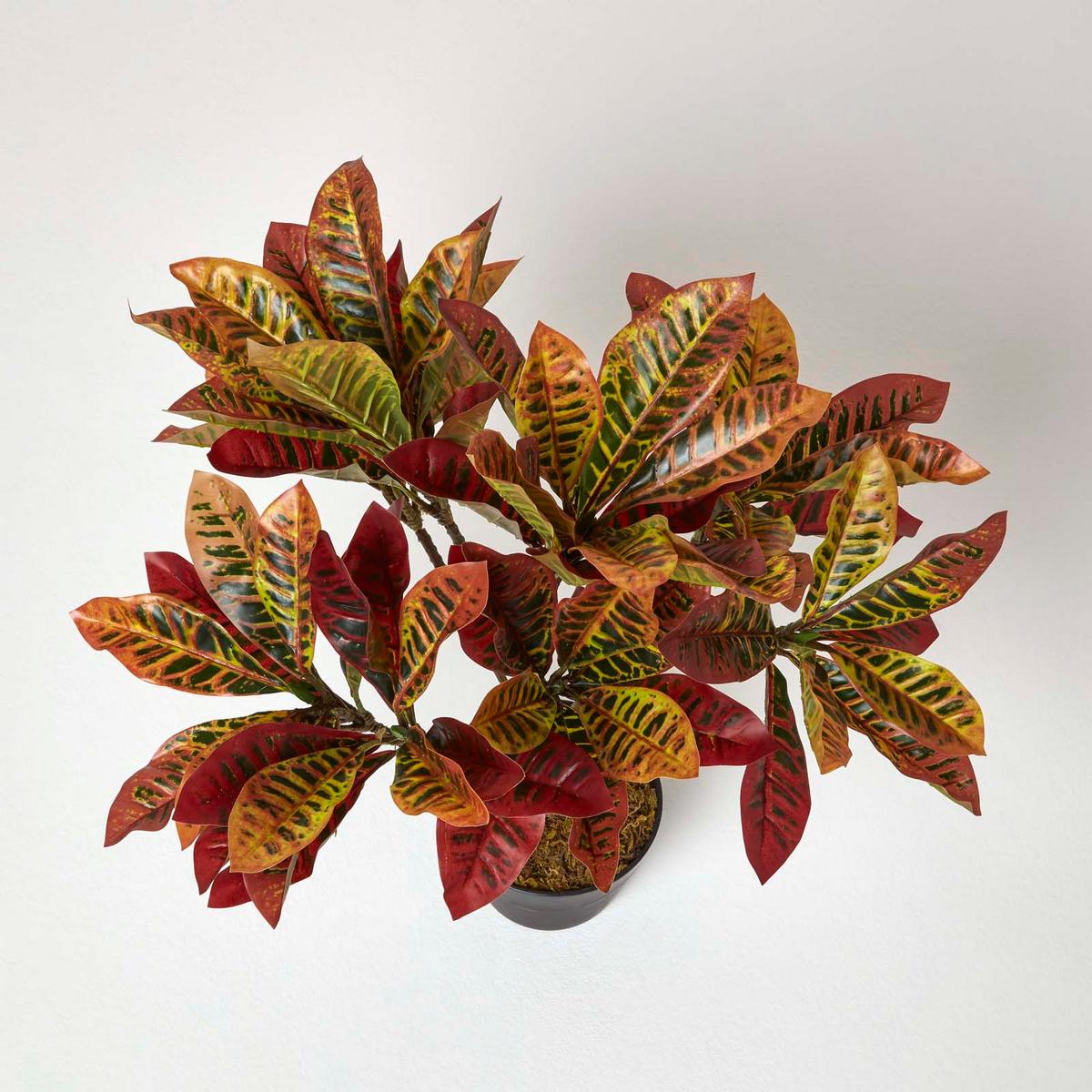 KUNSTPFLANZE Wunderstrauch rot, 65 cm - Rot, Kunststoff (65cm) - Homescapes