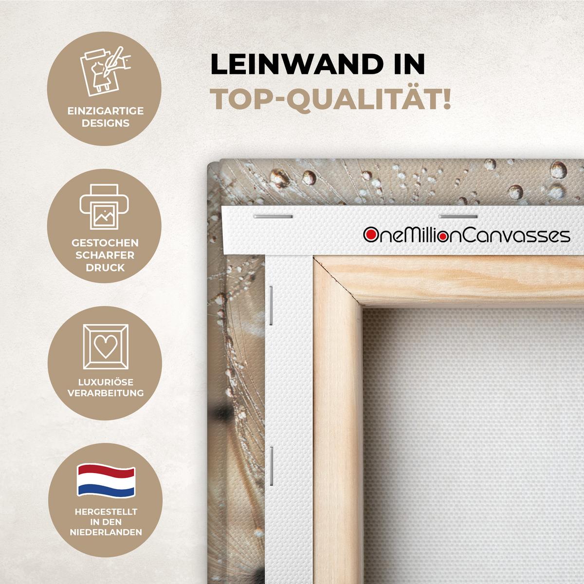 LEINWANDBILD Löwenzahn - Abstrakt - Natur - Beige Deko Schlafzimmer 30x20 cm - Braun, Textil (30/20cm) - MuchoWow