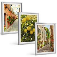 BILDER SET 3er Set - 40x60 cm Silberner Rahmen - Straßen mit Zitronenblüten im Hintergrund - Silberfarben, Kunststoff (40/60cm) - TULUP