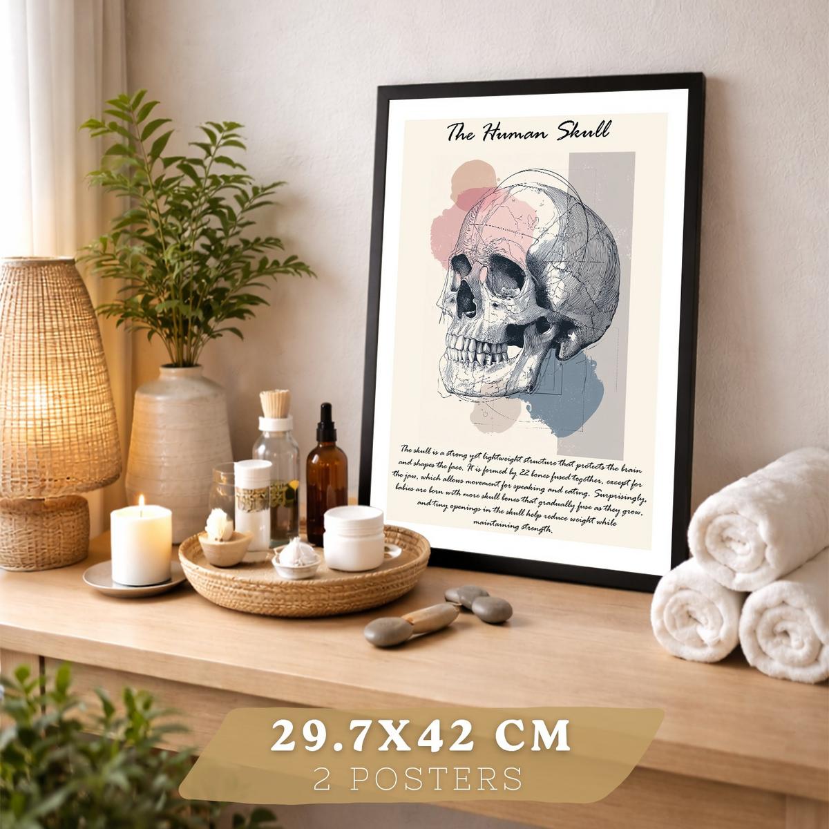 POSTER Set aus 2 Anatomie Mensch Lernposter Drucke und Wandbilder mit Skelett Rippen und Schädel Klinik Büro Dekoration Größe Schwarzer Rahmen A3 - Schwarz, Papier (29.7/42/3cm) - Nacnic