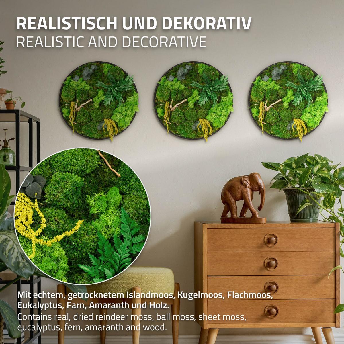 MOOSBILD Rund Ø 40 cm Mooswand Indoor mit echtem Kugel-, Island- und Flachmoos-Mix und Ästen Holzrahmen Grün - Gelb/Grün, Naturmaterialien (40/40/3cm) - ECD-Germany