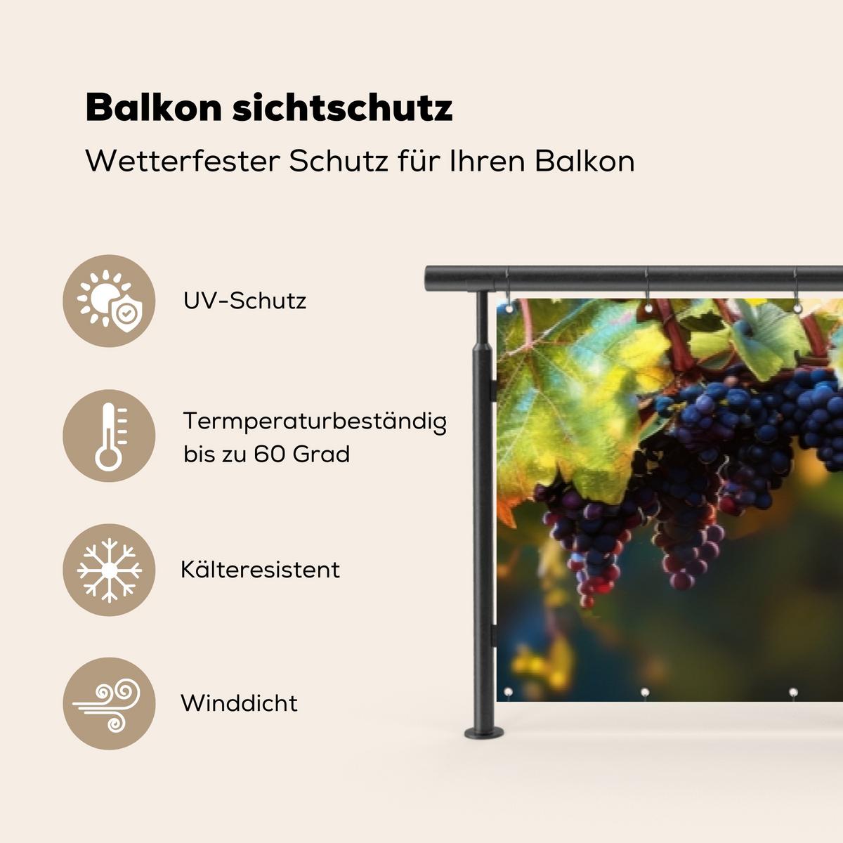 BALKON-SICHTSCHUTZ Trauben - Wein - Natur - Grün Balkon Deko 500x75 cm - Weinrot, Kunststoff (500/75cm) - MuchoWow