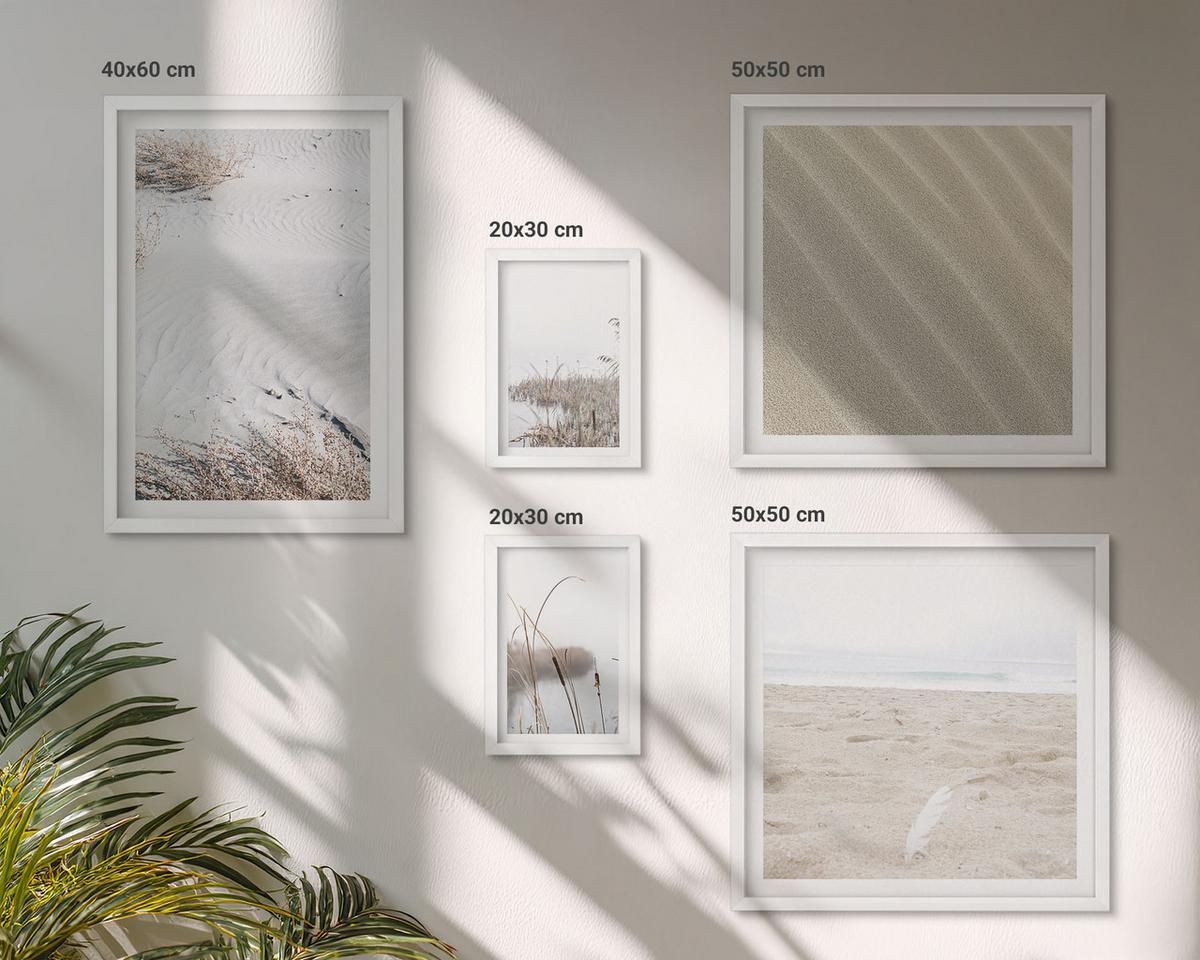BILDER SET 5er Set - 50x50 cm & 20x30 cm & 40x60 cm Weißer Rahmen - Vegetation am Wasser im Sommer - Weiß, Kunststoff (40/60cm) - TULUP