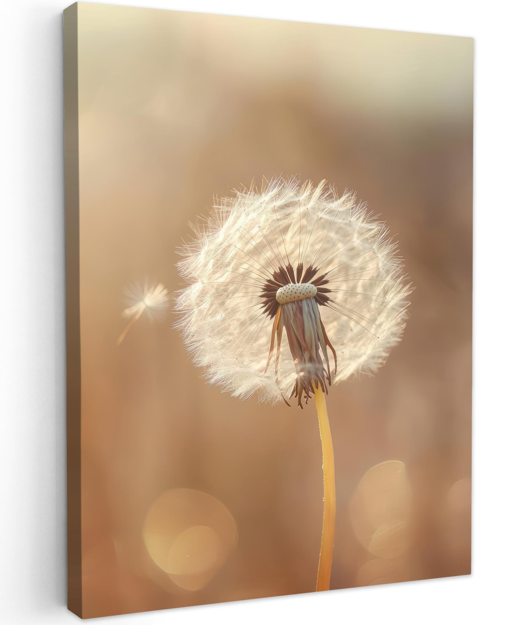 LEINWANDBILD Löwenzahn - Beige - Natur - Blume Room Decor 30x40 cm - Hellbraun, Textil (30/40cm) - MuchoWow