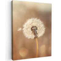LEINWANDBILD Löwenzahn - Beige - Natur - Blume Room Decor 30x40 cm - Hellbraun, Textil (30/40cm) - MuchoWow