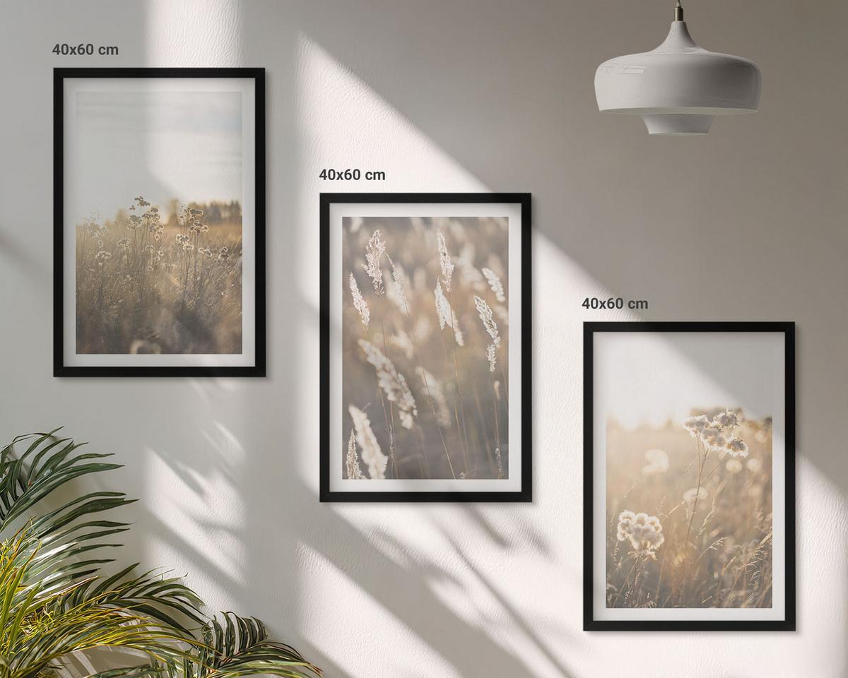 BILDER SET 3er Set - 40x60 cm Schwarzer Rahmen - Landschaftsgrasblumen Wärme - Schwarz, Kunststoff (40/60cm) - TULUP