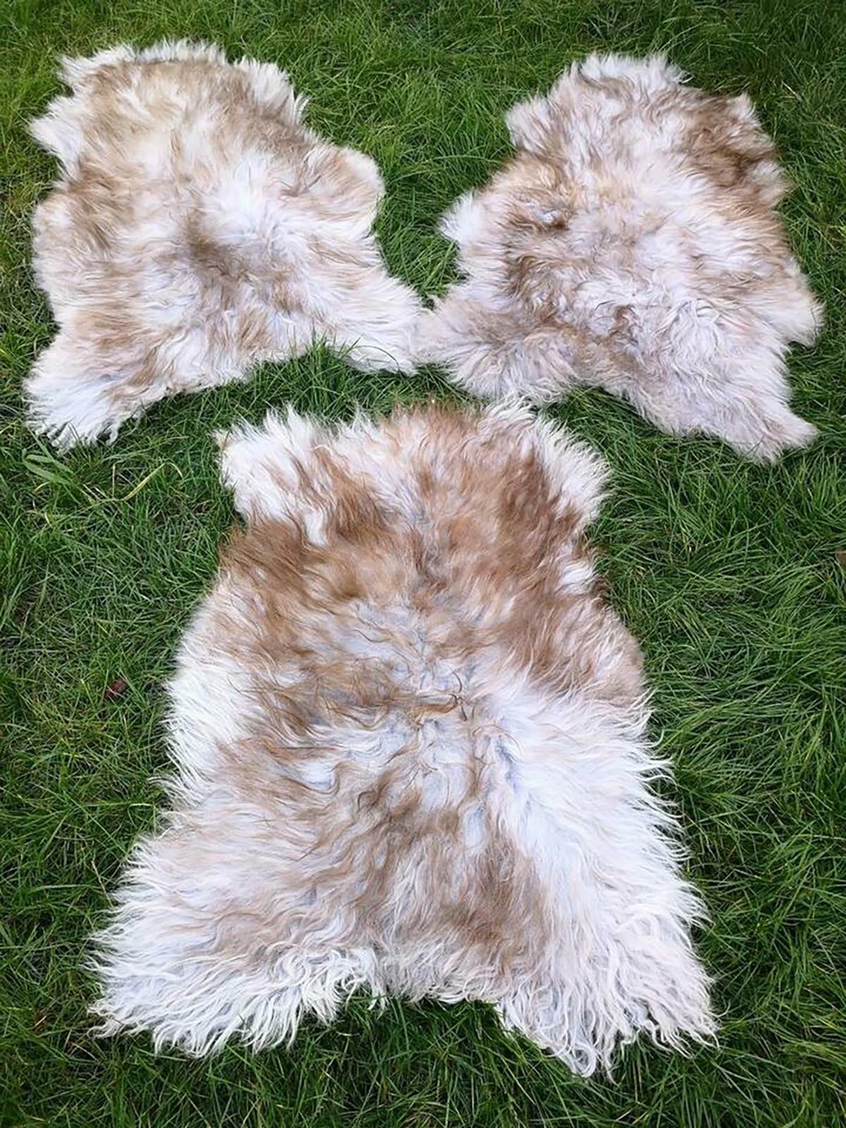 LAMMFELL Island hellgrau-braun lange weiche Wolle ca. 125 cm - Hellbraun/Hellgrau, Fell (70/125cm) - Provellus
