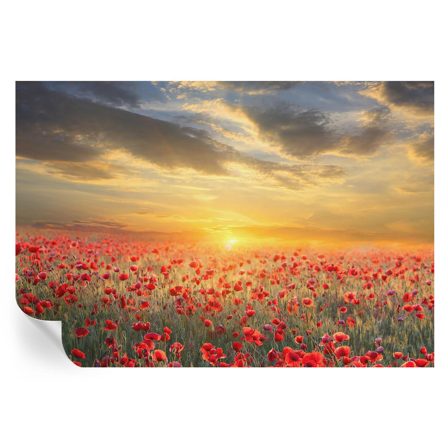 FOTOTAPETE 152x104 cm - Mohnfeld - Rot, Textil (152/104cm) - Wallfluent