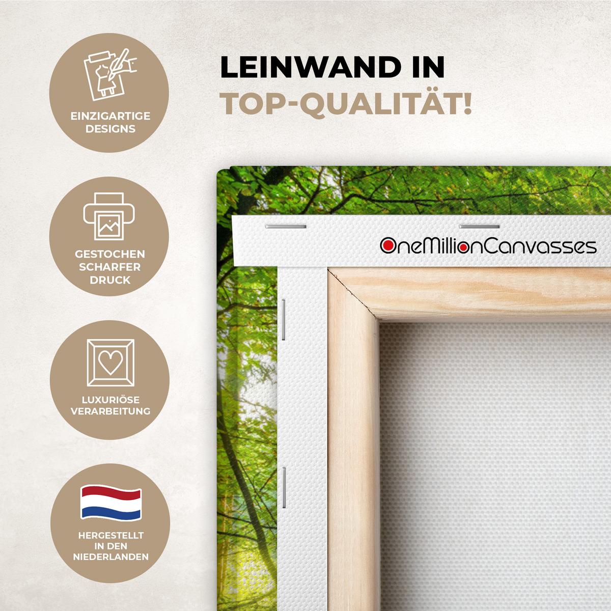 LEINWANDBILD Wald - Landschaft - Wasser - Bäume - Sonne - Grün - Natur Wandbild Wohnzimmer 60x80 cm - Grün, Textil (60/80cm) - MuchoWow