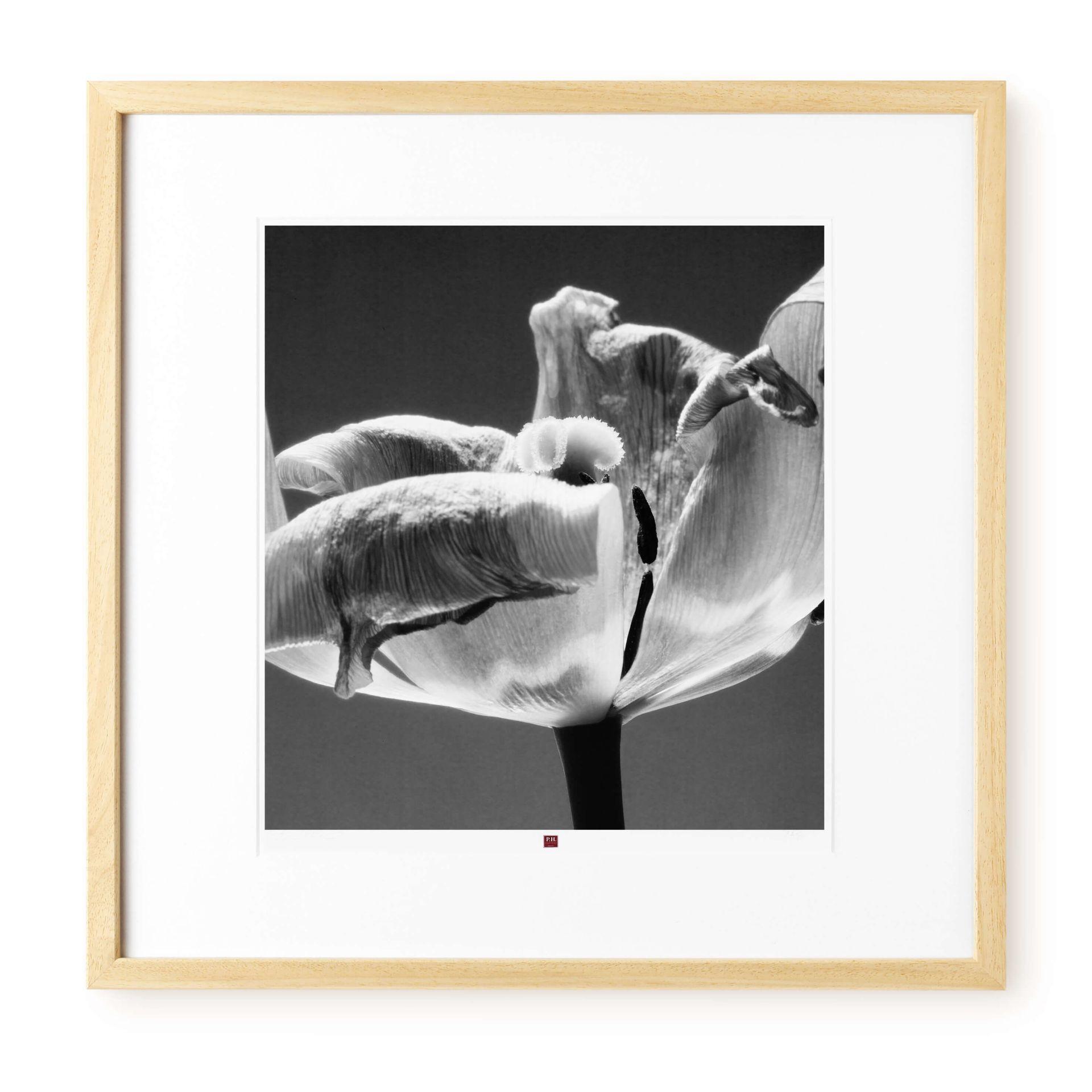 KUNSTDRUCK Schwarz-Weiß 50/50 cm - Schwarz, Glas/Papier (2.4/50cm) - KUNSTLOFT