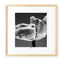 KUNSTDRUCK Schwarz-Weiß 50/50 cm - Schwarz, Glas/Papier (2.4/50cm) - KUNSTLOFT