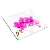 GLASPLATTE 60x52 cm Rosa Orchidee - Pink, Glas (60/0.4/52cm) - TULUP