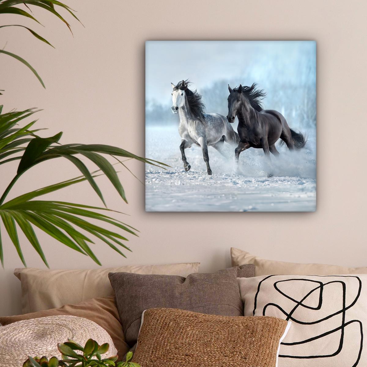 LEINWANDBILD Pferde - Winter - Tiere - Natur - Schnee Wandbild Wohnzimmer 50x50 cm - Anthrazit, Textil (50/50cm) - MuchoWow