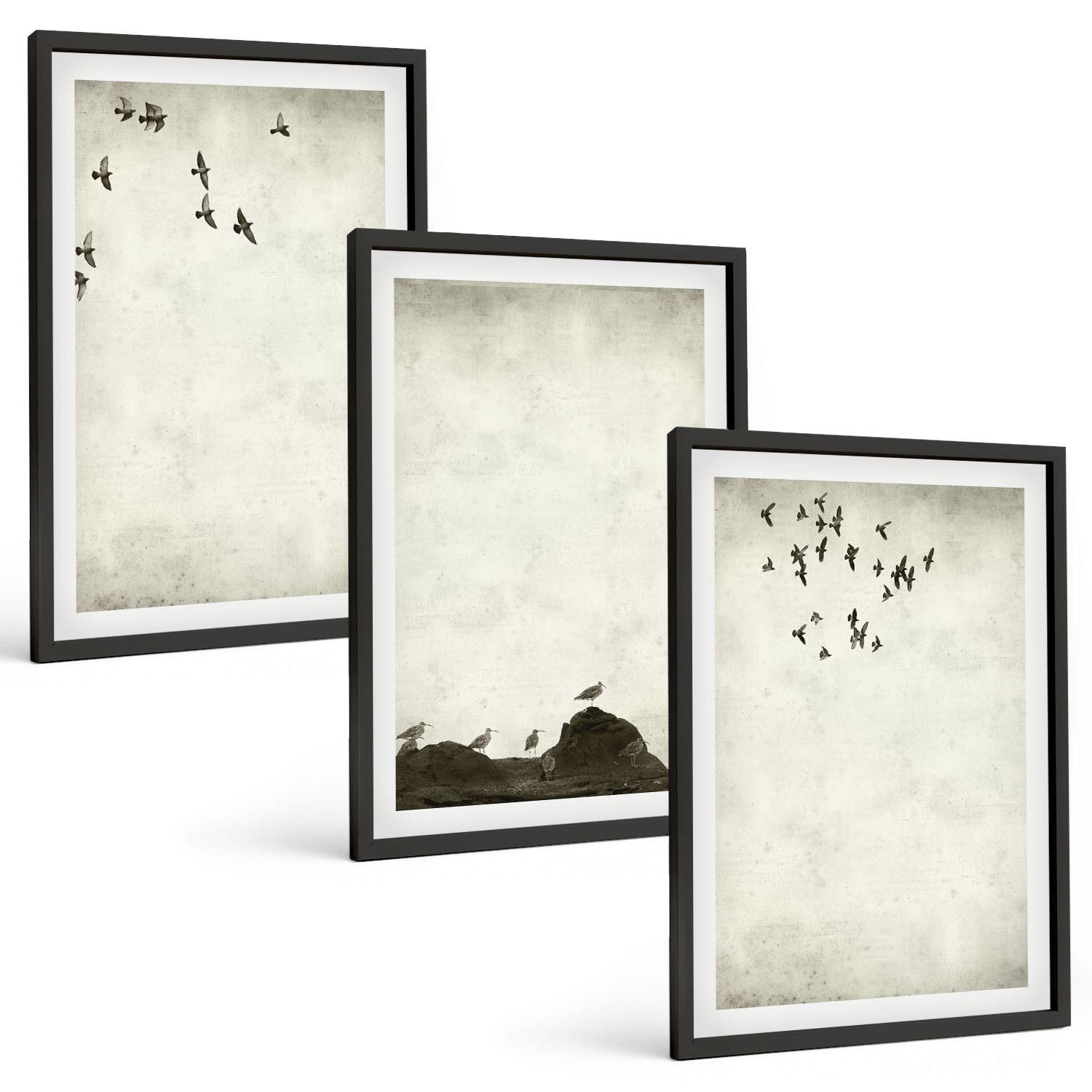 BILDER SET 3er Set - 40x60 cm Schwarzer Rahmen - Fliegende Vögel Minimalismus - Schwarz, Kunststoff (40/60cm) - TULUP