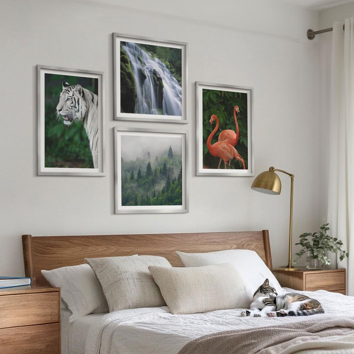 BILDER SET 4er Set - 50x50 cm & 40x60 cm Silberner Rahmen - Tiger Wasserfall Flamingos Natur - Silberfarben, Kunststoff (50/50cm) - TULUP