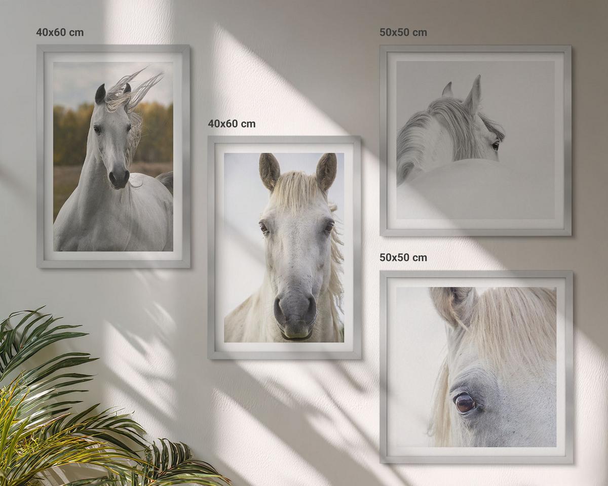 BILDER SET 4er Set - 50x50 cm & 40x60 cm Silberner Rahmen - Weiße Pferde - Silberfarben, Kunststoff (50/50cm) - TULUP