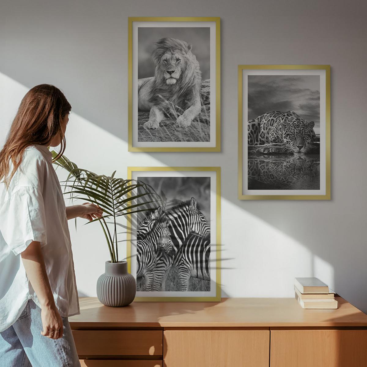 BILDER SET 3er Set - 40x60 cm Goldrahmen - Wildtiere der Savanne - Goldfarben, Kunststoff (40/60cm) - TULUP